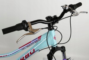 Rower-Gorski-dla-Dziewczynki-Dzieciecy-MTB-Turbo-10-14Lat-Turkusowy-24-Rozmiar-ramy-13-cali.jpg